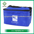 High Quality PVC Cooler Bag for Pacaking food